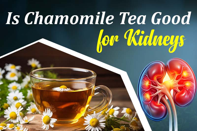 Is Chamomile Tea Good for Kidneys